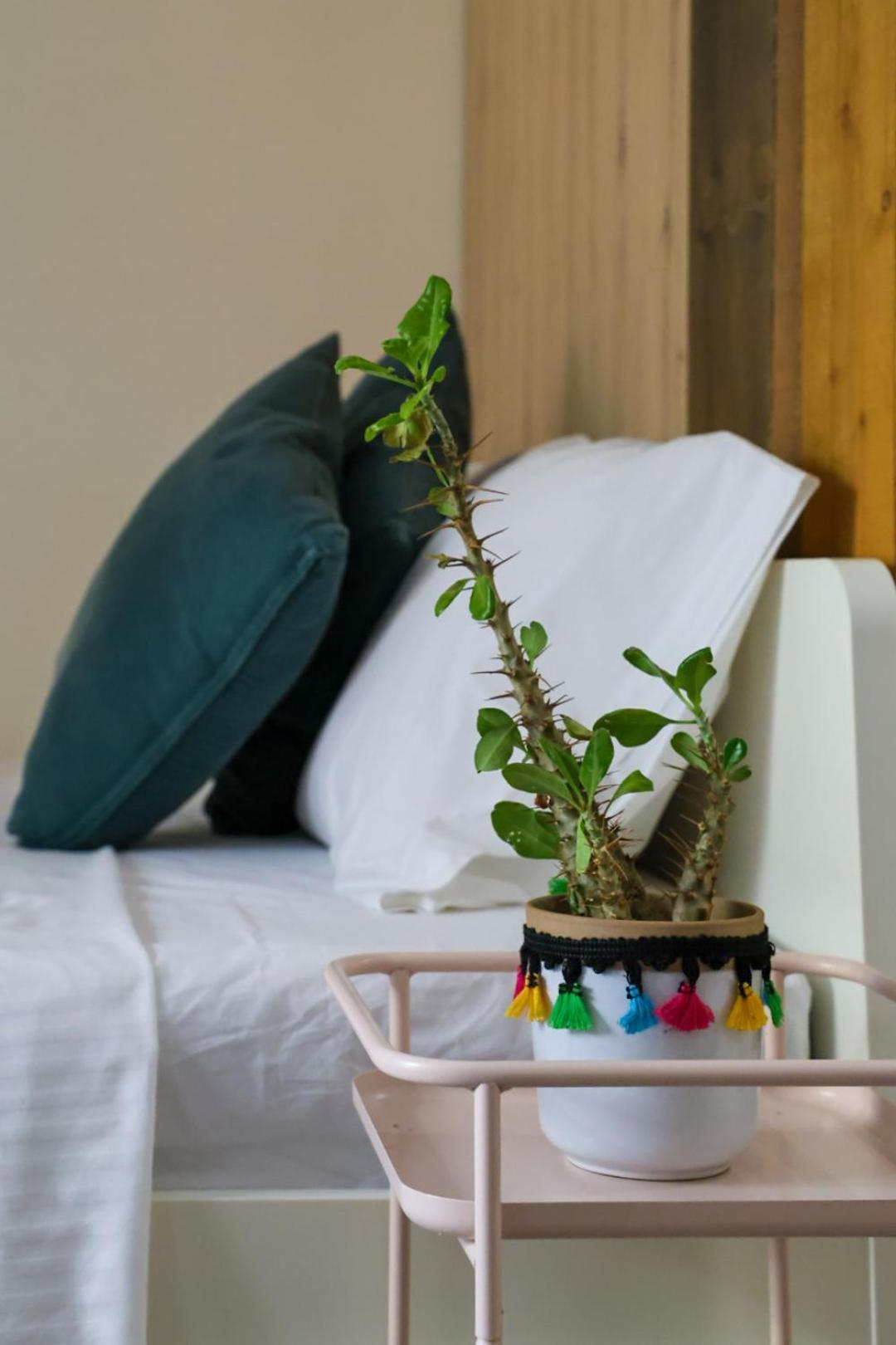 Filena'S Cozy Studio Athens Luaran gambar